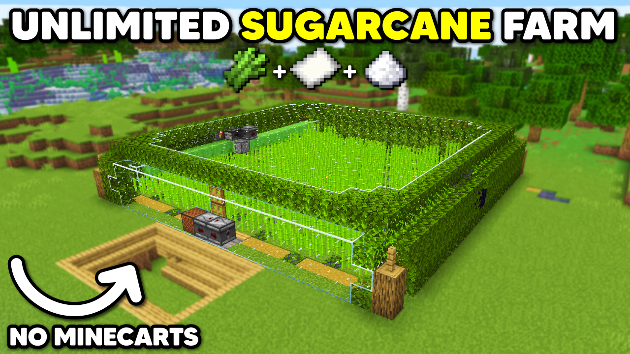 Automatic SUGARCANE FARM in Minecraft | Easy Paper (1.21.+)
