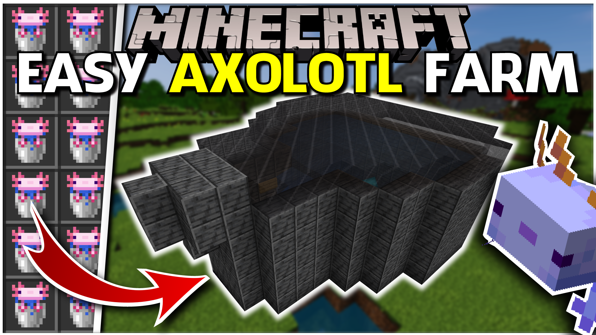 Minecraft AXOLOTL Farm All Colors, Rare's, Easy Chapman Minecraft